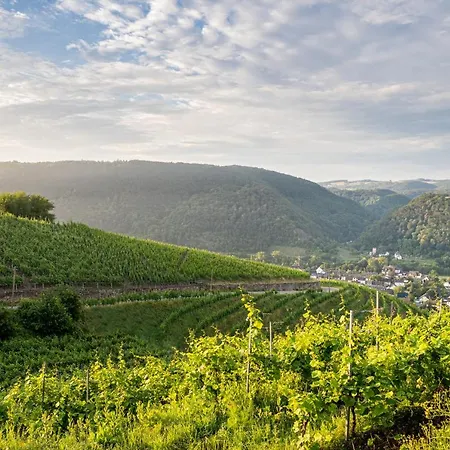 Moselblick Hotel Winningen