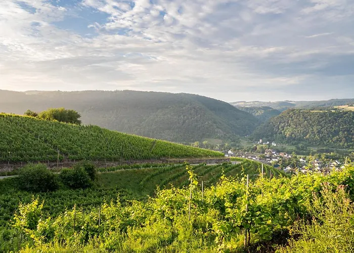 Moselblick Hotel Winningen